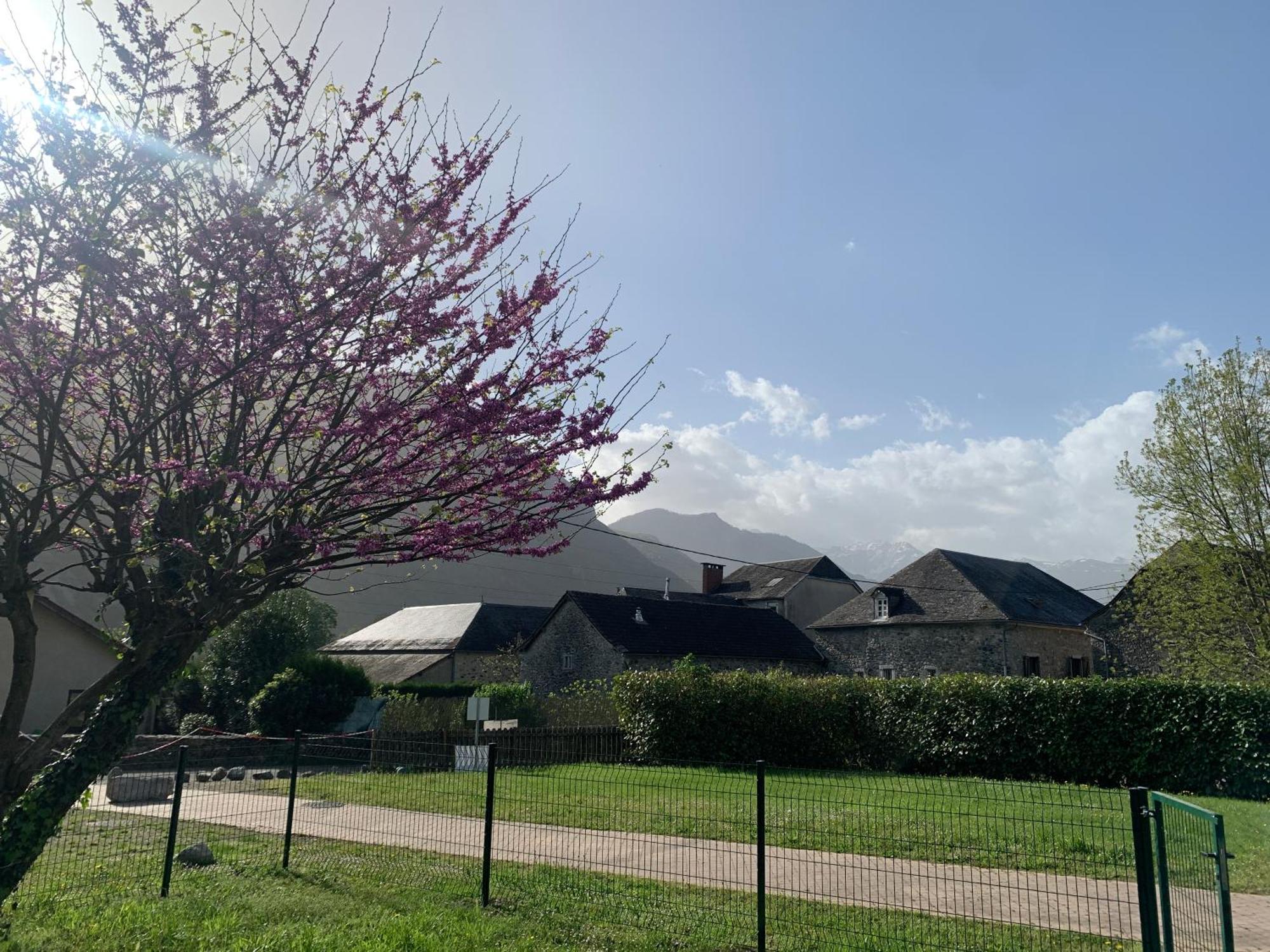 La Suite Unique - Le Jardin Sur Les Pyrenees- Vue Panoramique Montagne -Jardin Cloture Prive De 100M2-Parking-Linge De Lit Et Serviettes Compris- Bielle Bagian luar foto