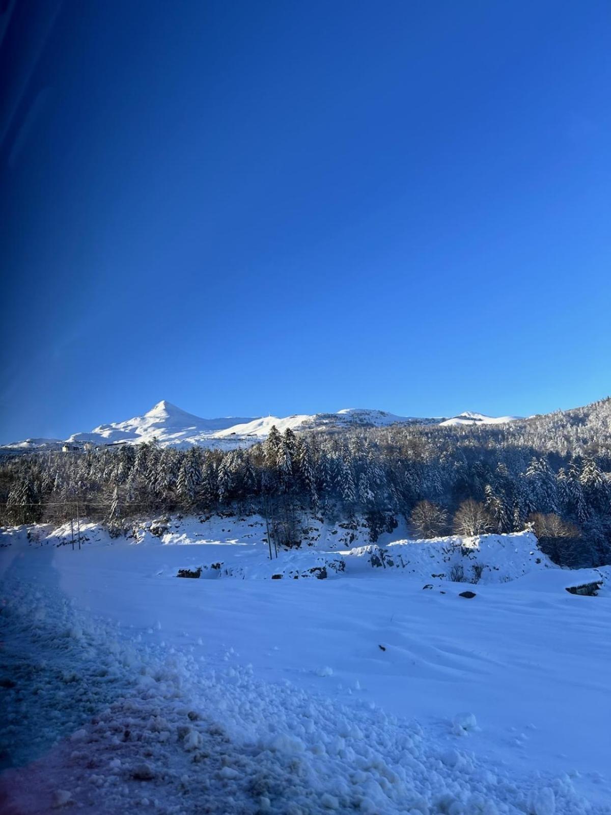 La Suite Unique - Le Jardin Sur Les Pyrenees- Vue Panoramique Montagne -Jardin Cloture Prive De 100M2-Parking-Linge De Lit Et Serviettes Compris- Bielle Bagian luar foto