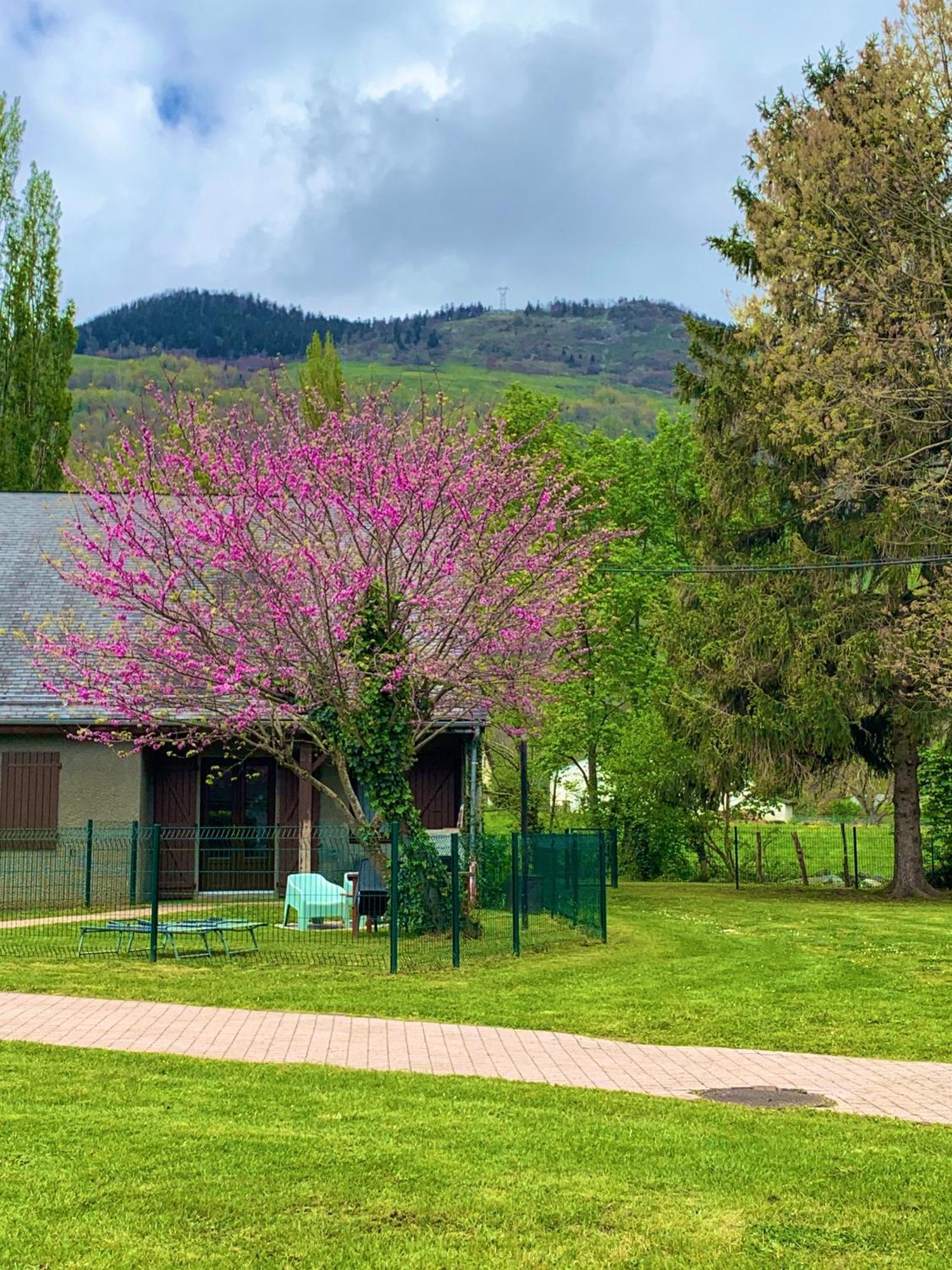 La Suite Unique - Le Jardin Sur Les Pyrenees- Vue Panoramique Montagne -Jardin Cloture Prive De 100M2-Parking-Linge De Lit Et Serviettes Compris- Bielle Bagian luar foto